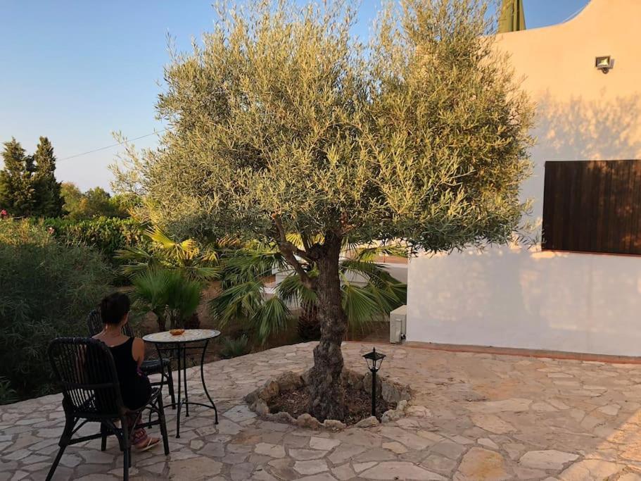 Casa En Ibiza Con Vistas Increibles En Es Figueral Vila Exterior foto
